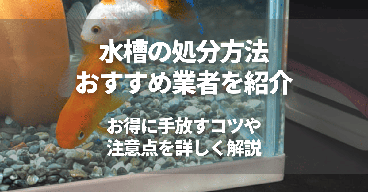 【2026年最新】水槽の処分方法6選！費用相場や無料・お得に手放すコツを徹底解説